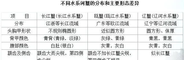 大闸蟹健康养殖全程操作指南