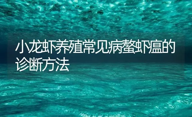 小龙虾养殖常见病螯虾瘟的诊断方法 | 海水养殖