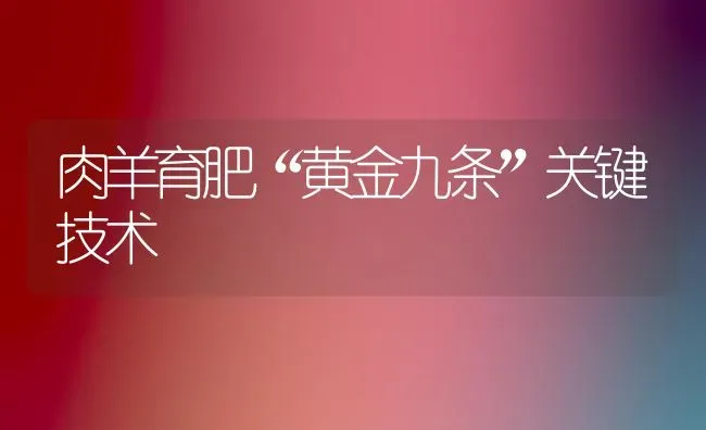 肉羊育肥“黄金九条”关键技术 | 家畜养殖