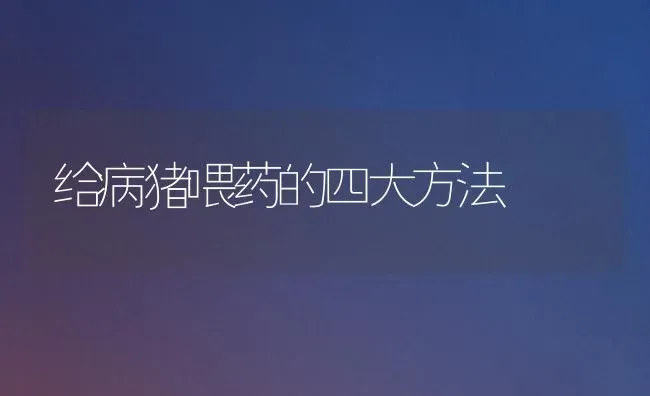 给病猪喂药的四大方法 | 养殖病虫害防治