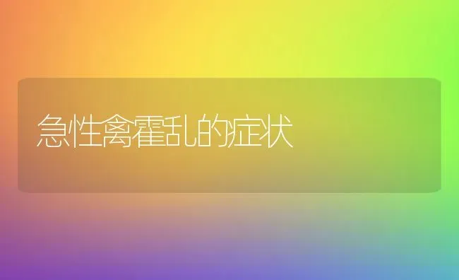 急性禽霍乱的症状 | 家禽养殖