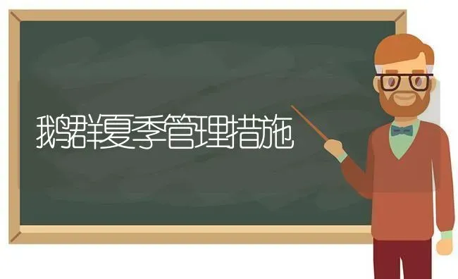 鹅群夏季管理措施 | 家禽养殖