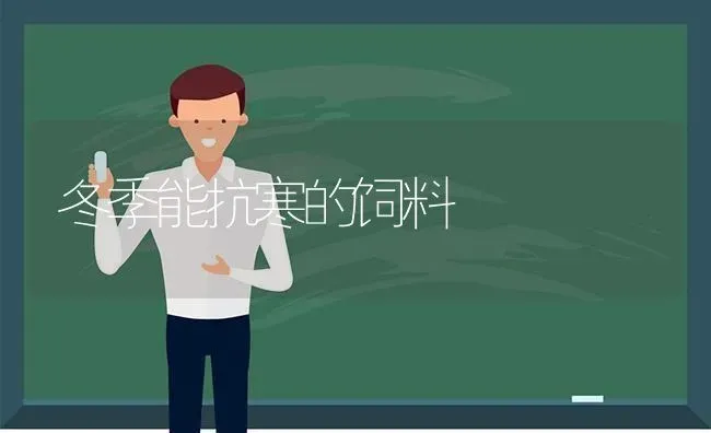 冬季能抗寒的饲料 | 动物养殖饲料
