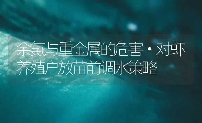 余氯与重金属的危害·对虾养殖户放苗前调水策略 | 海水养殖