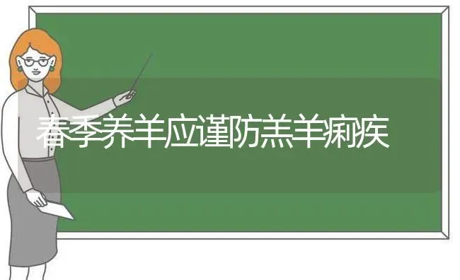 春季养羊应谨防羔羊痢疾 | 家畜养殖