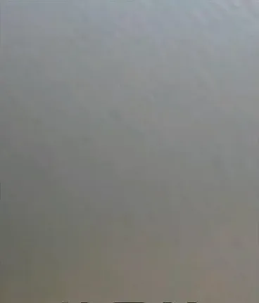 有蓝藻的南美白对虾池塘如何成功肥水？