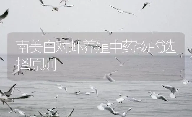 南美白对虾养殖中药物的选择原则 | 养殖病虫害防治