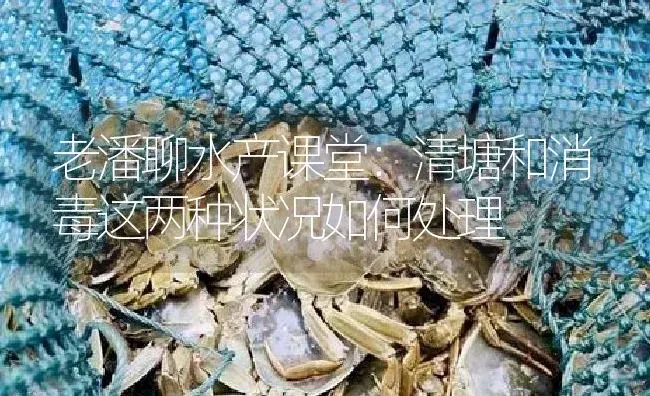 老潘聊水产课堂：清塘和消毒这两种状况如何处理 | 淡水养殖