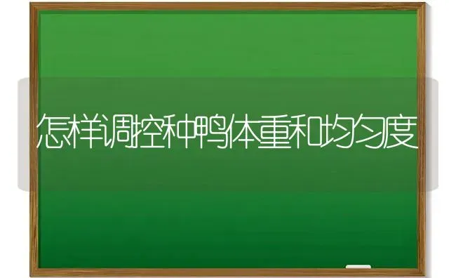 怎样调控种鸭体重和均匀度 | 家禽养殖