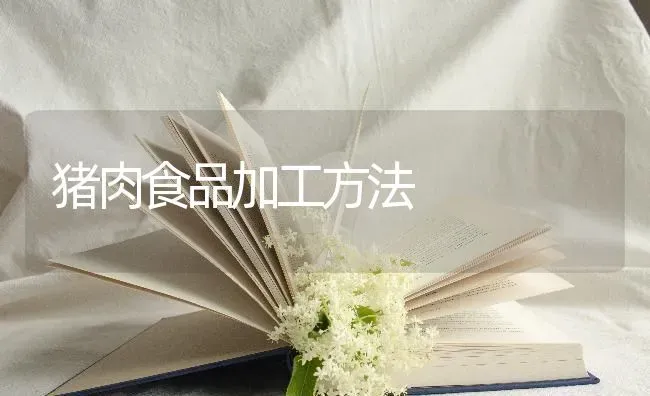 母猪产后高效催乳 | 家畜养殖