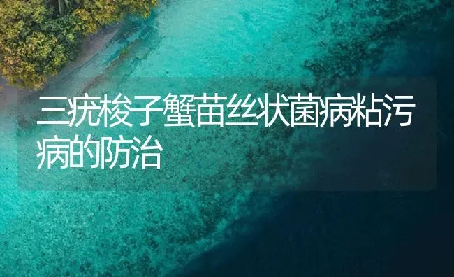 三疣梭子蟹苗丝状菌病粘污病的防治 | 海水养殖