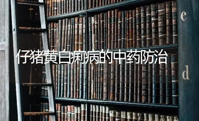 仔猪黄白痢病的中药防治 | 养殖病虫害防治