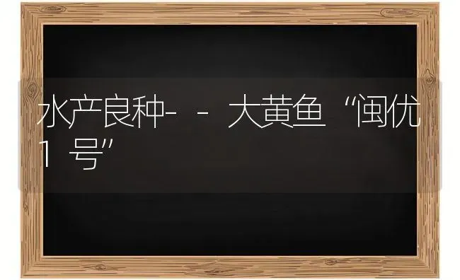 水产良种--大黄鱼“闽优1号” | 淡水养殖