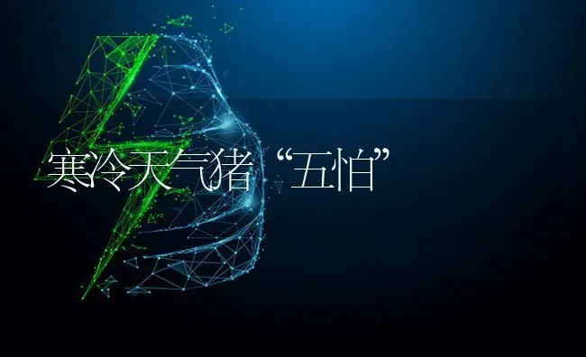 寒冷天气猪“五怕” | 家畜养殖