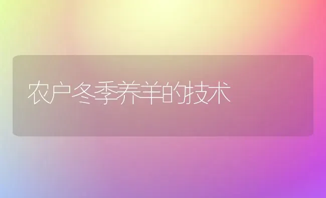 农户冬季养羊的技术 | 家畜养殖