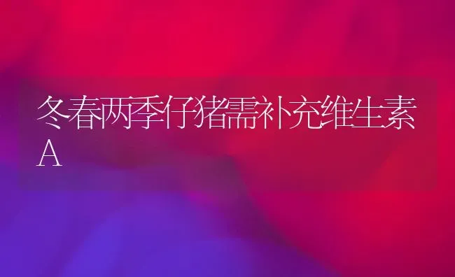 冬春两季仔猪需补充维生素A | 家畜养殖