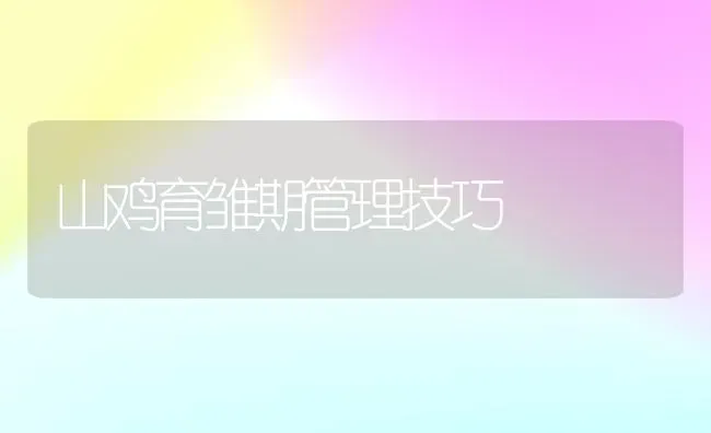 山鸡育雏期管理技巧 | 家禽养殖