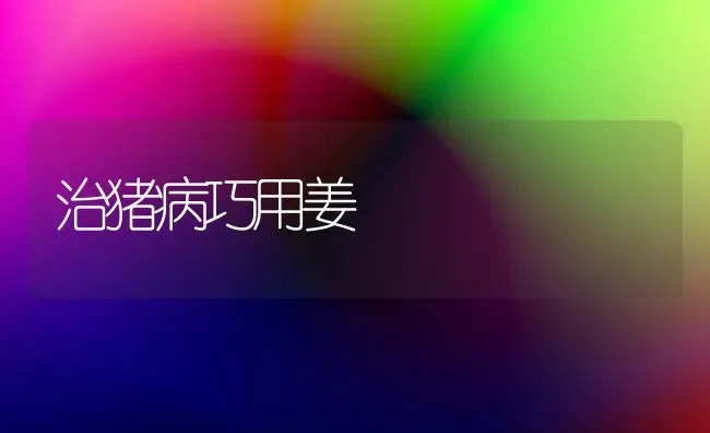 治猪病巧用姜 | 家畜养殖
