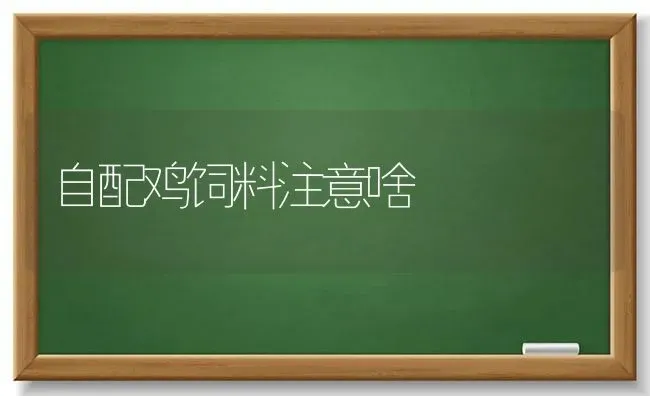 自配鸡饲料注意啥 | 家禽养殖