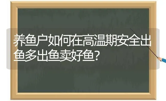 养鱼户如何在高温期安全出鱼多出鱼卖好鱼？ | 动物养殖百科