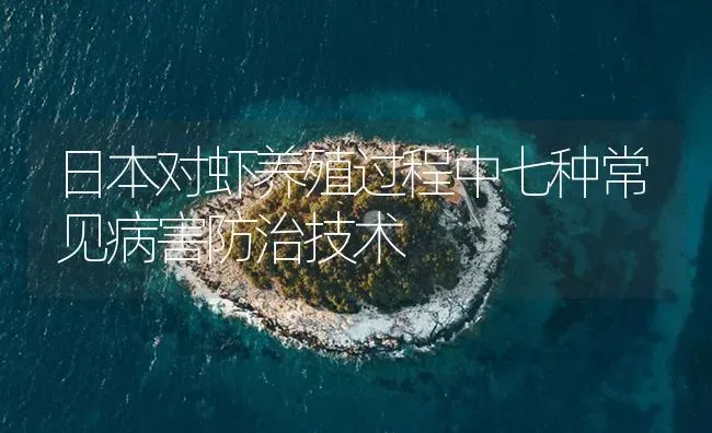 日本对虾养殖过程中七种常见病害防治技术 | 海水养殖