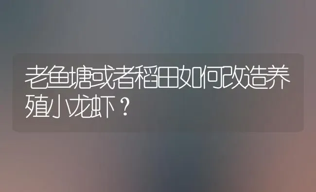 老鱼塘或者稻田如何改造养殖小龙虾？ | 淡水养殖