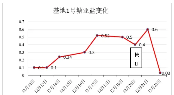 冬棚对虾养殖过程中亚硝酸盐处理案例分享