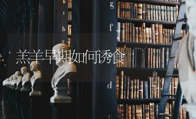 羔羊早期如何诱食 | 家畜养殖