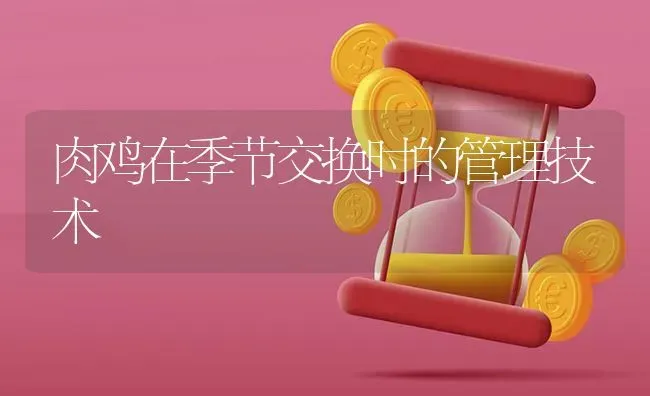 肉鸡在季节交换时的管理技术 | 家禽养殖