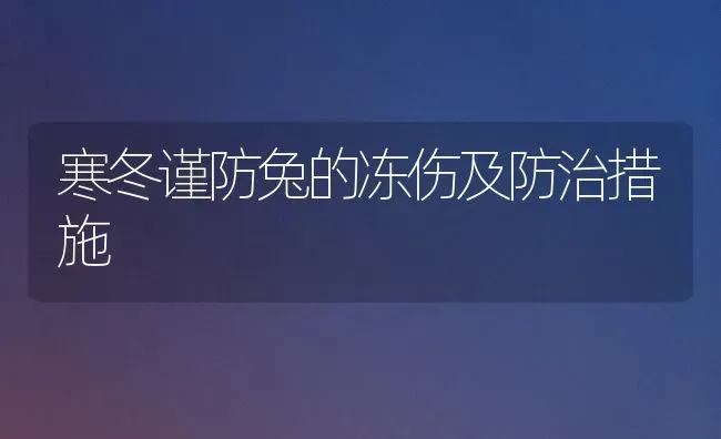 寒冬谨防兔的冻伤及防治措施 | 家畜养殖