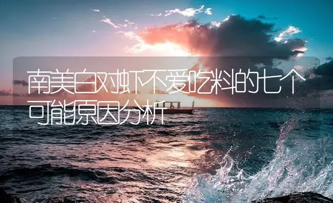 南美白对虾不爱吃料的七个可能原因分析 | 海水养殖