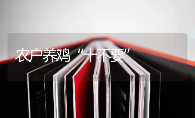 农户养鸡“十不要” | 家禽养殖