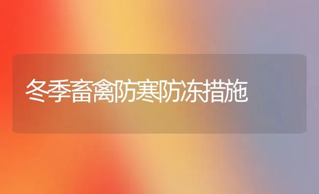 冬季畜禽防寒防冻措施 | 家禽养殖