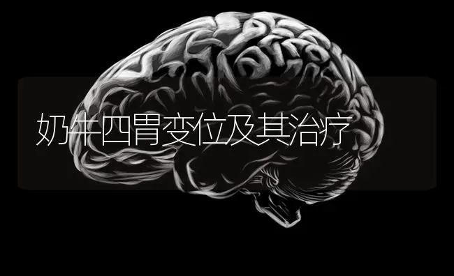 猪打针正确位置，你可能一直都错了 | 家畜养殖