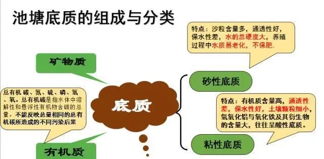 池塘底质如何物质循环，提倡科学改底？