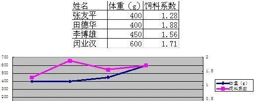 湖北仙桃五湖渔场鳊鱼大面积打样效果展示