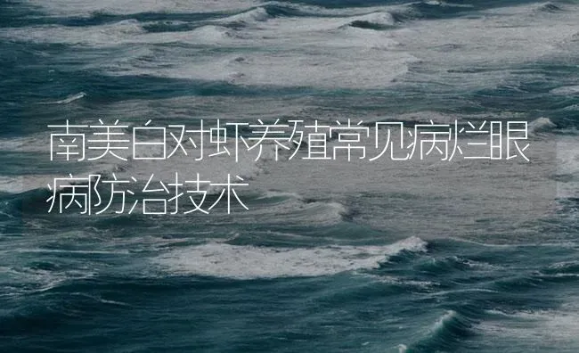 南美白对虾养殖常见病烂眼病防治技术 | 海水养殖