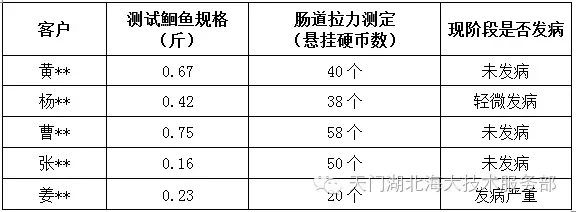 白露关斑点叉尾鮰鱼苗疾病预防