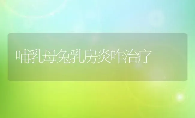 哺乳母兔乳房炎咋治疗 | 家畜养殖