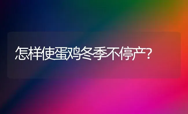 怎样使蛋鸡冬季不停产？ | 家禽养殖