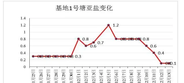 冬棚对虾养殖过程中亚硝酸盐处理案例分享