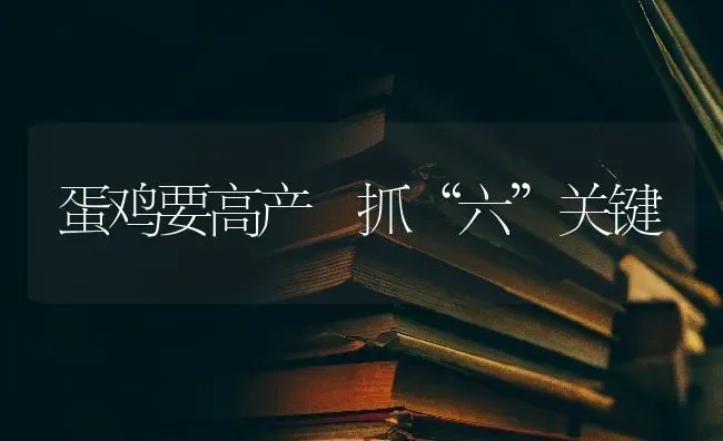 蛋鸡要高产 抓“六”关键 | 家禽养殖