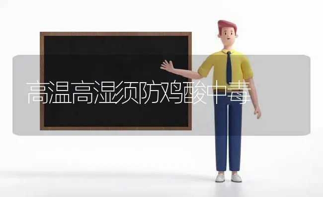 高温高湿须防鸡酸中毒 | 家禽养殖