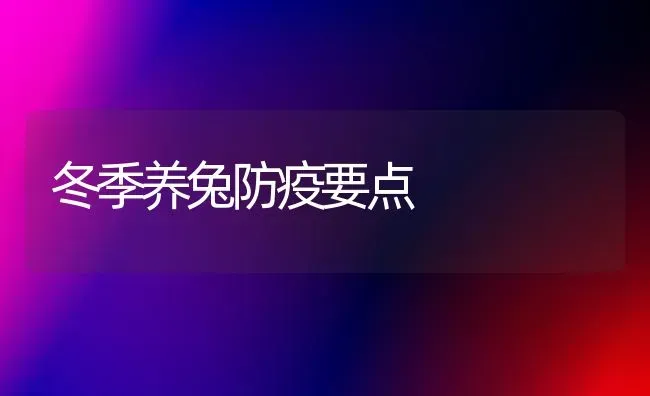冬季养兔防疫要点 | 家畜养殖