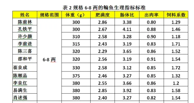 湖北仙桃五湖渔场鳊鱼大面积打样效果展示