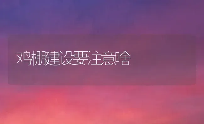 鸡棚建设要注意啥 | 家禽养殖