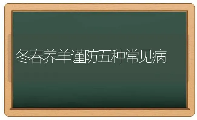 冬春养羊谨防五种常见病 | 家畜养殖