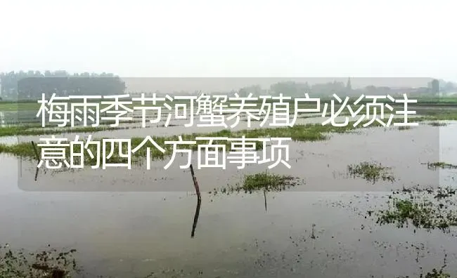 梅雨季节河蟹养殖户必须注意的四个方面事项 | 淡水养殖