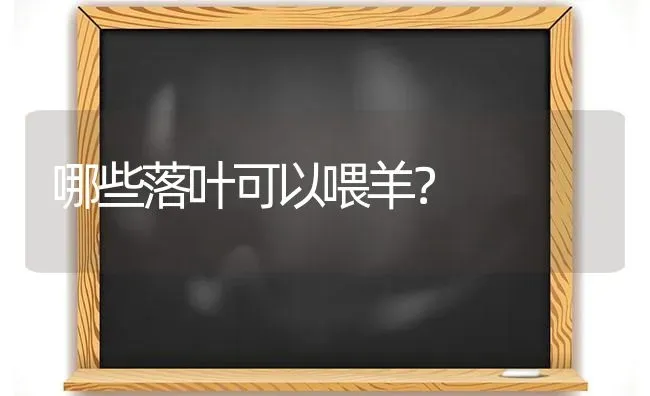 哪些落叶可以喂羊？ | 家畜养殖