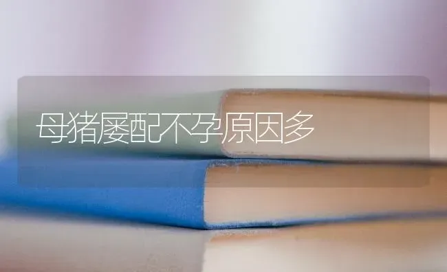 母猪屡配不孕原因多 | 家畜养殖